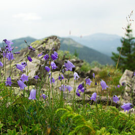 Хребет Кумардак