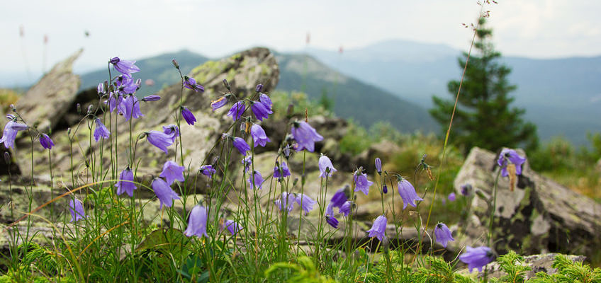 Хребет Кумардак