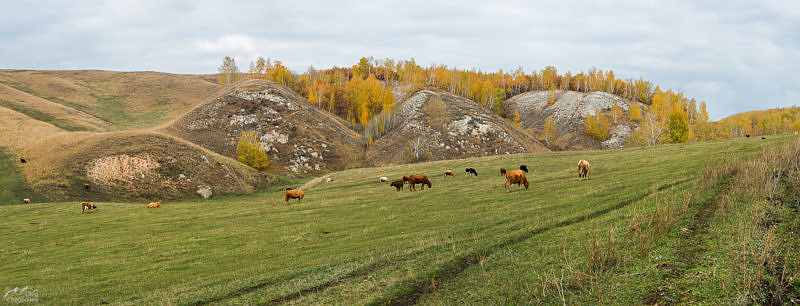 Аургазинская земля