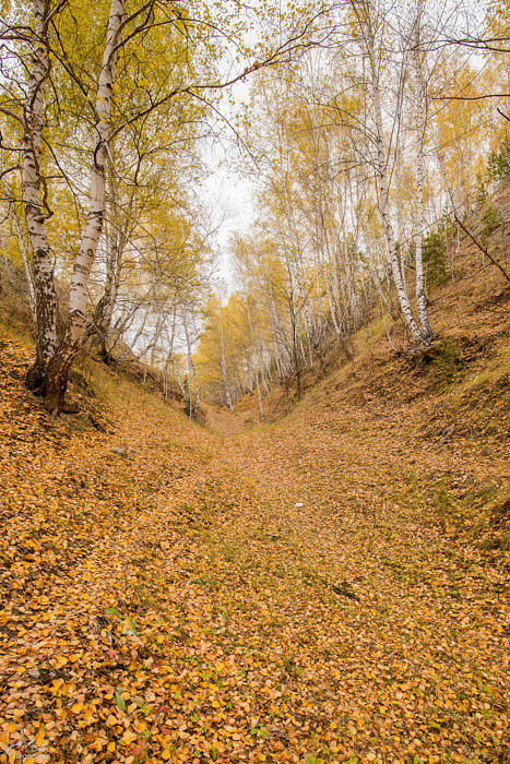 Золотая осень в Башкирии