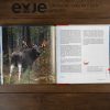 Книга про Урал. Путеводитель