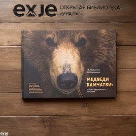 Медведи Камчатки: основы безопасного общения (купить)