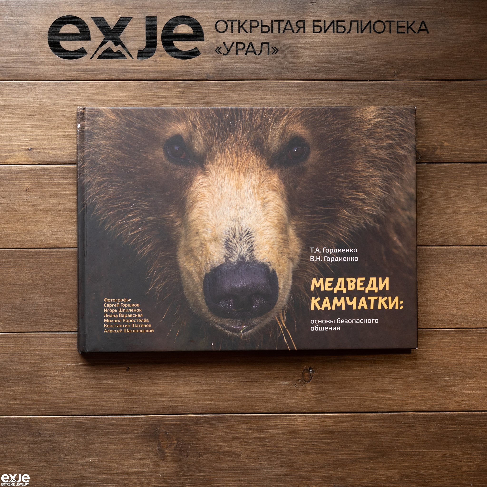 Где Находится Магазин Медведь Где Находится Магазин Медведь