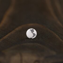 Серьга «Западное полушарие»