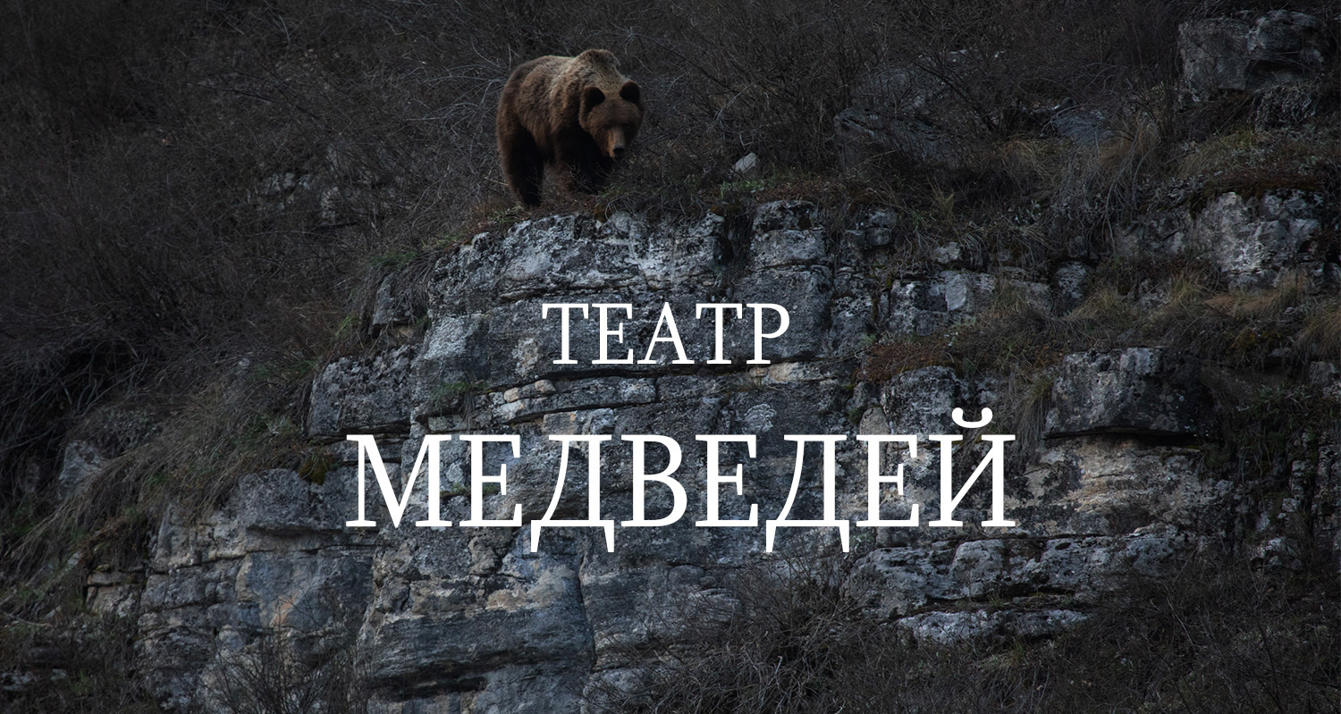 Где Находится Магазин Медведь Где Находится Магазин Медведь