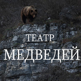 театр медведей. Медведи на южном урале. Медведи в башкирии