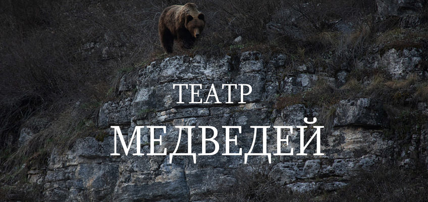 театр медведей. Медведи на южном урале. Медведи в башкирии