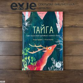 Тайга