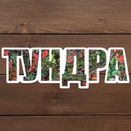 наклейка тундра