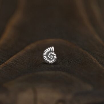 Моносерьга «Аммонит»